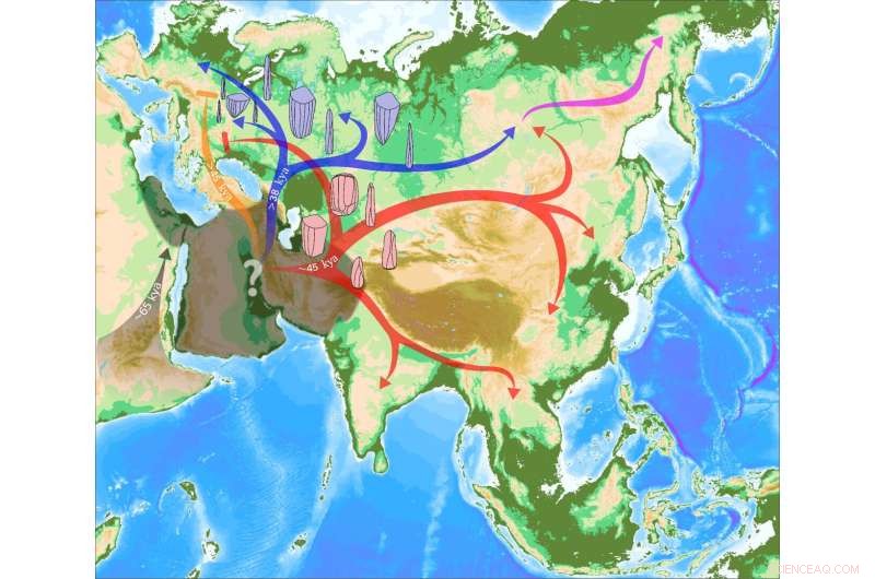 Ancient Human Migration: Out-of-Africa Origins of European East Asian Lineages