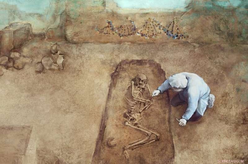 Early European Farmers: Did Agriculture Impact Height?