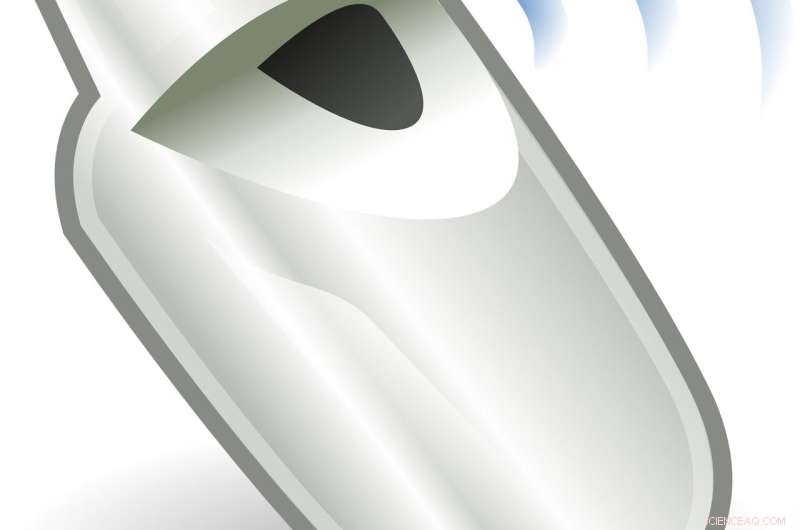 Understanding Fraud Obsession: Lessons from High-Profile Scandals