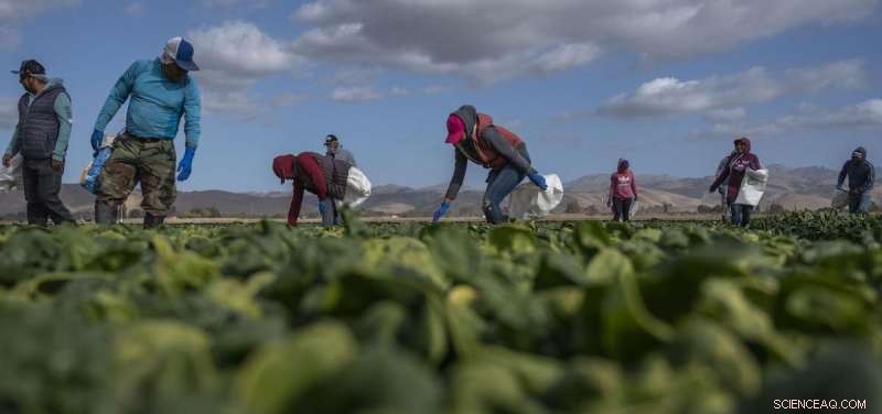 COVID-19 and Farmworkers: A Report on Dehumanizing Experiences