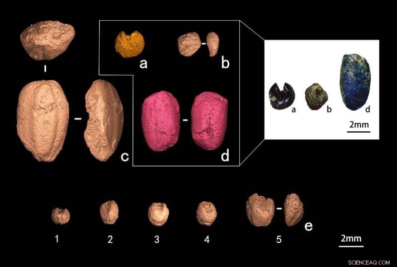 Late Neolithic Agriculture in Southeast China: Insights from Jingshuidun