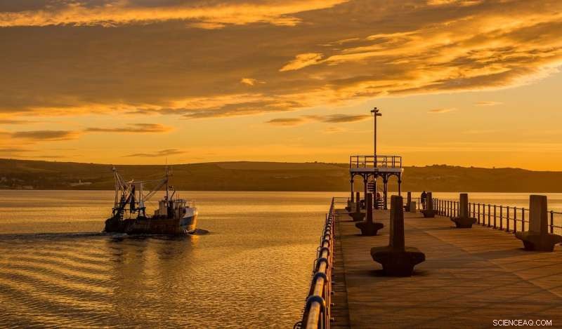 Seafood Import Challenges: Study Reveals Persistent Trade Barriers