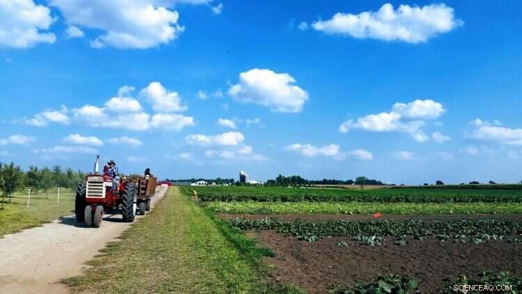 Handgun Carrying Patterns in Rural Youth: A Foundation for Injury Prevention