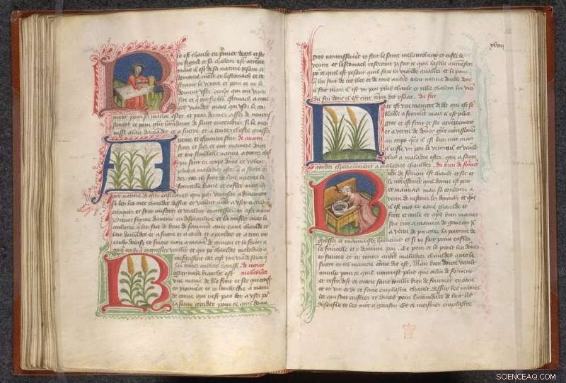 Medieval Manuscripts: Insights into Upper-Class Women s Health & Household Management