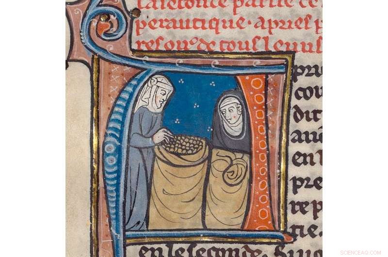 Medieval Manuscripts: Insights into Upper-Class Women s Health & Household Management