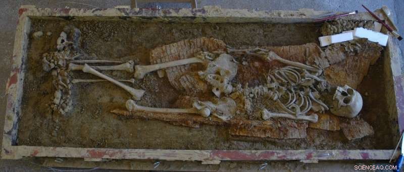 Ancient DNA Reveals Origins of the Avar Empire