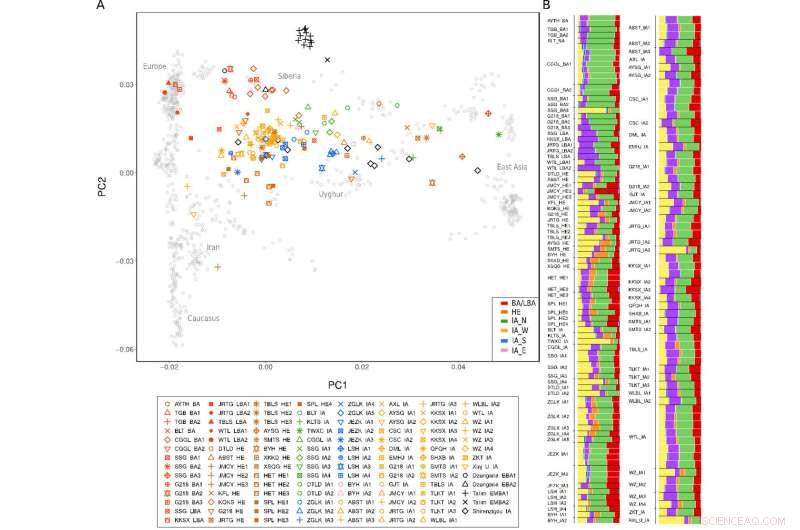 Ancient DNA Reveals 5,000-Year History of Xinjiang s Population