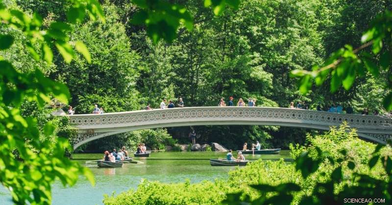 Top 25 US City Park Systems for Happiness: A Scientific Ranking