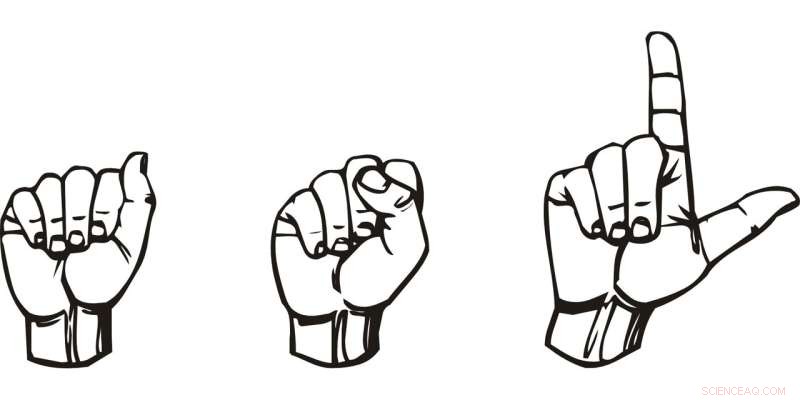American Sign Language Evolution: How Users Shape Communication