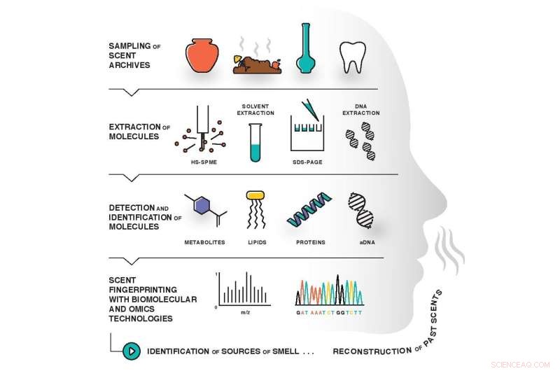 Reconstructing the Past: Scientists Recover Ancient Scents