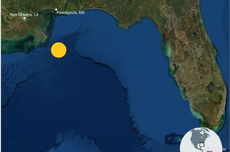 Historic 207-Year-Old Whaling Shipwreck Discovered in Gulf of Mexico