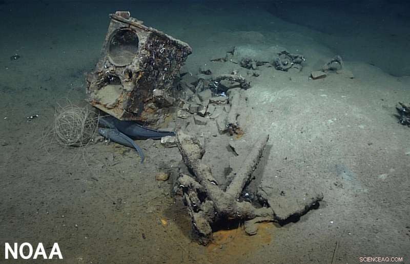 Historic 207-Year-Old Whaling Shipwreck Discovered in Gulf of Mexico