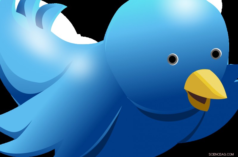 Trump Tweet Linked to Surge in Online Harassment of  The Squad 