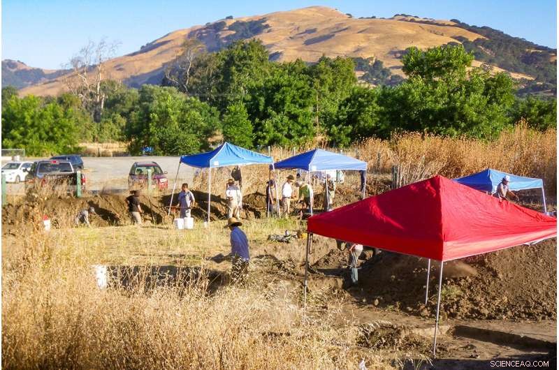 Ancient Ancestry of San Francisco s Muwekma Ohlone Tribe Revealed by Genomic Study