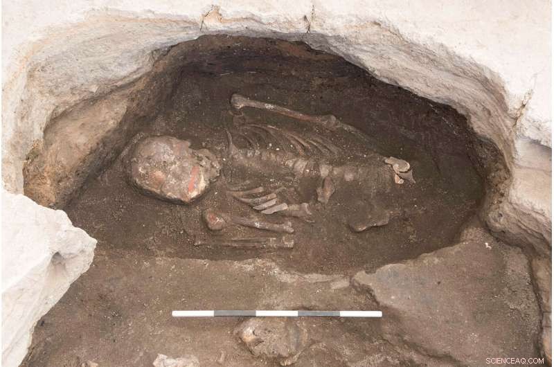 Çatalhöyük Skeletons: Unveiling Ancient Burial Practices