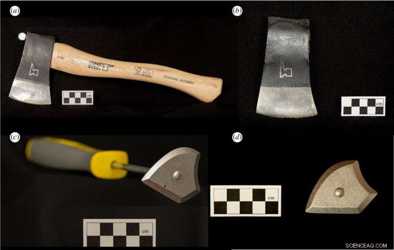 The Evolutionary Advantage of Tool Handles: New Research on Early Human Technology