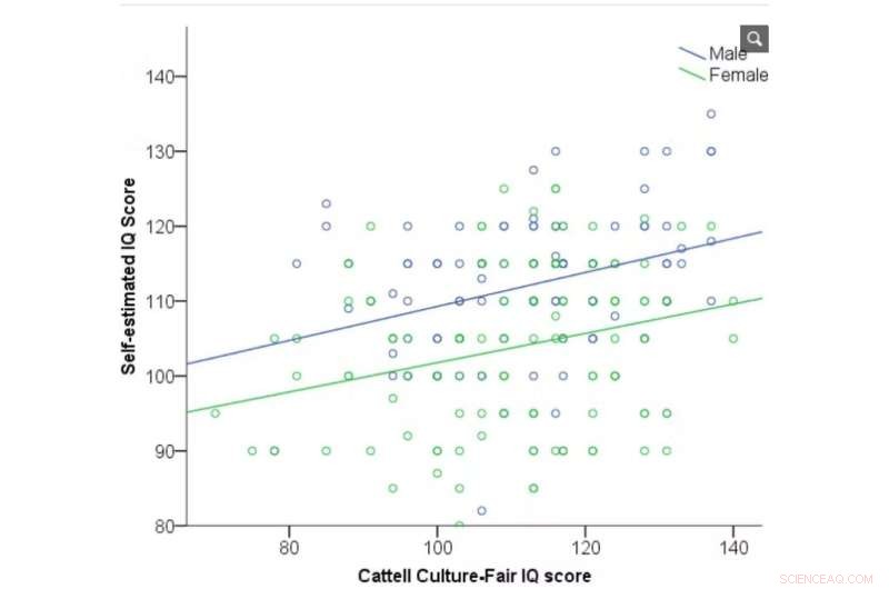 IQ Bias: Why Men Overestimate & Women Underestimate Intelligence
