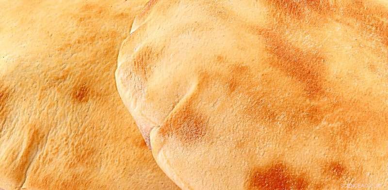 Ukraine War: Global Food Supply Crisis Looms as Wheat Prices Surge