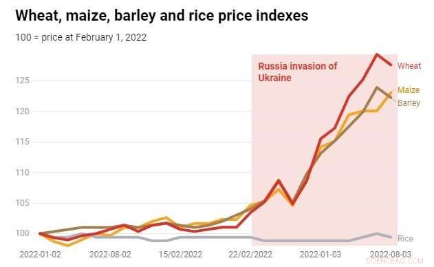 Ukraine War: Global Food Supply Crisis Looms as Wheat Prices Surge