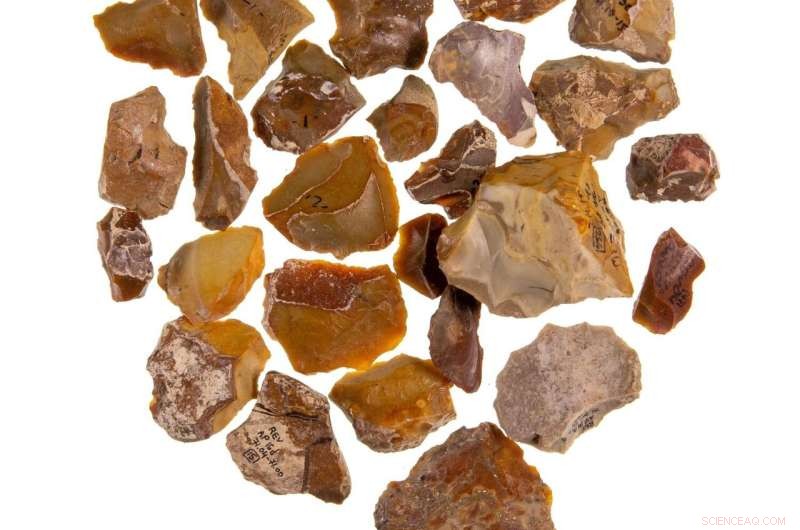 Prehistoric Tool Recycling: A Glimpse into Ancestral Memory - Tel Aviv University