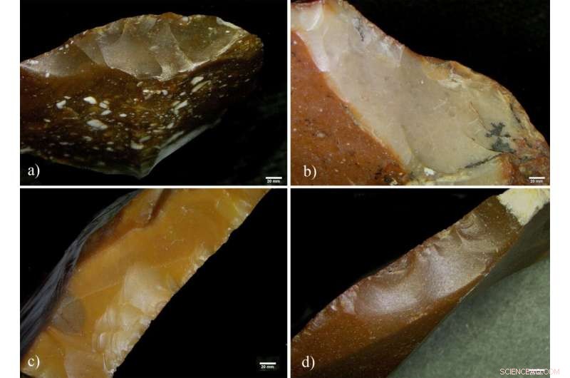 Prehistoric Tool Recycling: A Glimpse into Ancestral Memory - Tel Aviv University