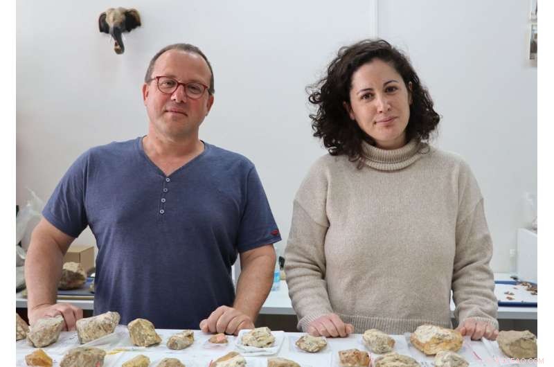 Prehistoric Tool Recycling: A Glimpse into Ancestral Memory - Tel Aviv University