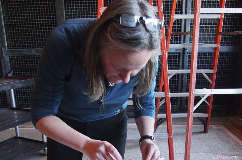 Pilgrim Shipwreck Analysis: New Insights into the Sparrow-hawk s Fate