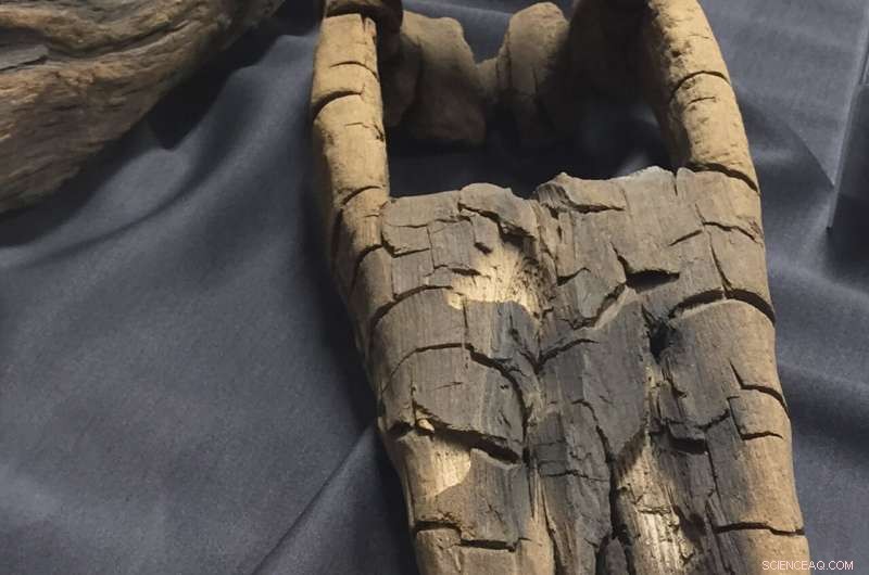 Pilgrim Shipwreck Analysis: New Insights into the Sparrow-hawk s Fate