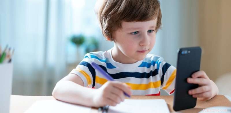 Ireland s Pandemic School Closures: Exposing Educational Inequality