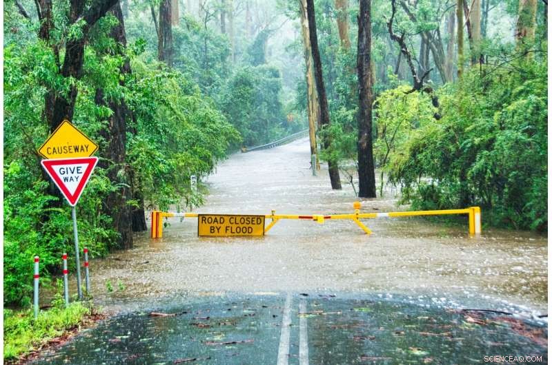 Effective Disaster Preparedness: The Power of Communication