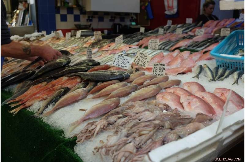 Global Seafood Trade: Decoding Regional Marketing Strategies