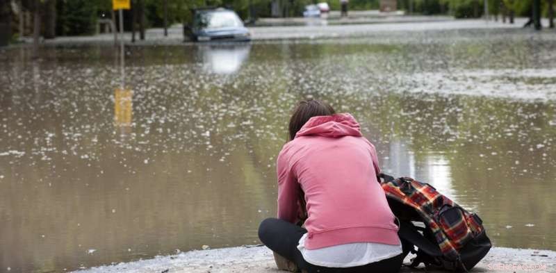 Preparing for the Unseen Aftermath of Natural Disasters: Domestic Violence