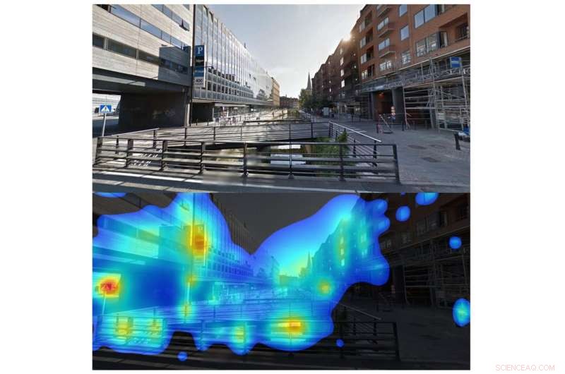 Nature vs. Cityscapes: How Our Brains Prefer Natural Scenes