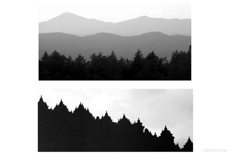 Nature vs. Cityscapes: How Our Brains Prefer Natural Scenes