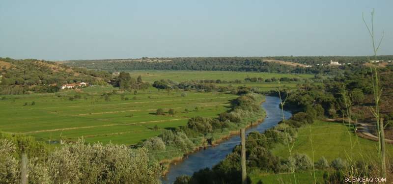 Ancient Mummification in Europe: New Evidence from Portugal s Sado Valley