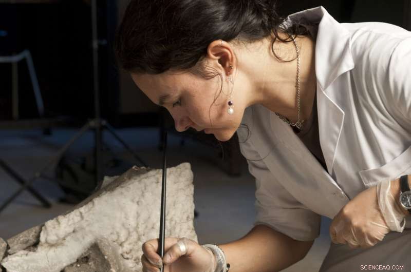 Ancient Mummification in Europe: New Evidence from Portugal s Sado Valley