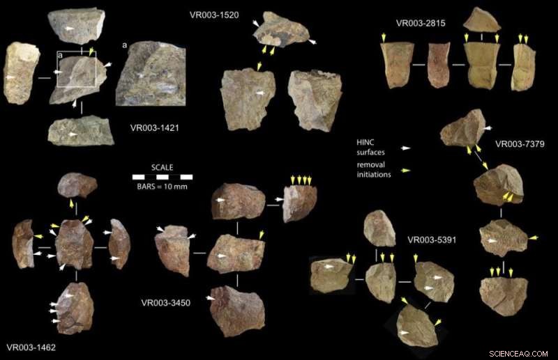 Human Creativity & Environmental Adaptation: Insights from South Africa