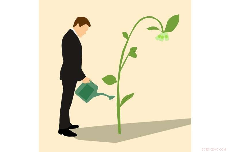 Green Jobs in NY: Growth & Future Potential | Comptroller s Analysis