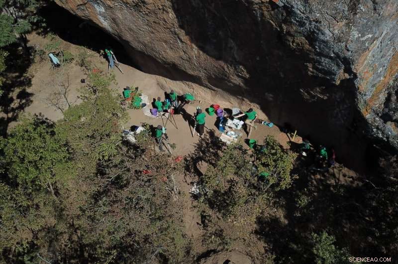 Ancient African DNA Reveals Surprising Insights into Early Human History