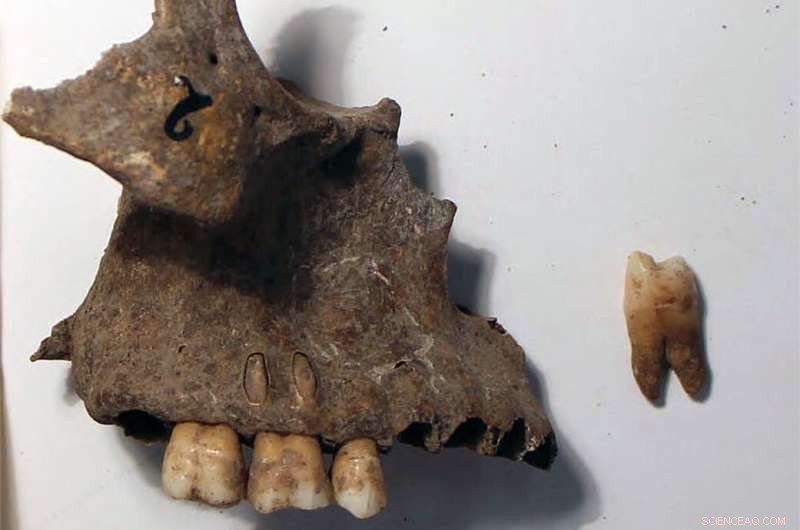 Ancient Burial Discovery: 350-Year-Old Remains Found at Portuguese Stone Age Site
