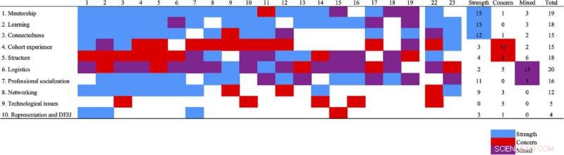 Remote Research Experiences for Undergraduates: Student Insights & Program Strengths