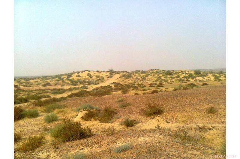 Uncovering Urban Complexity in the Indus Valley Civilization: The Ganweriwala Settlement