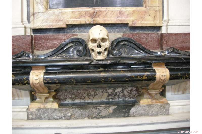 Forensic Analysis of Bernini s Marble Sculpture Reveals Sculpting Techniques