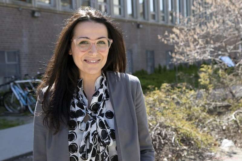 Census Classification of Middle Eastern & North African Americans: A Growing Issue