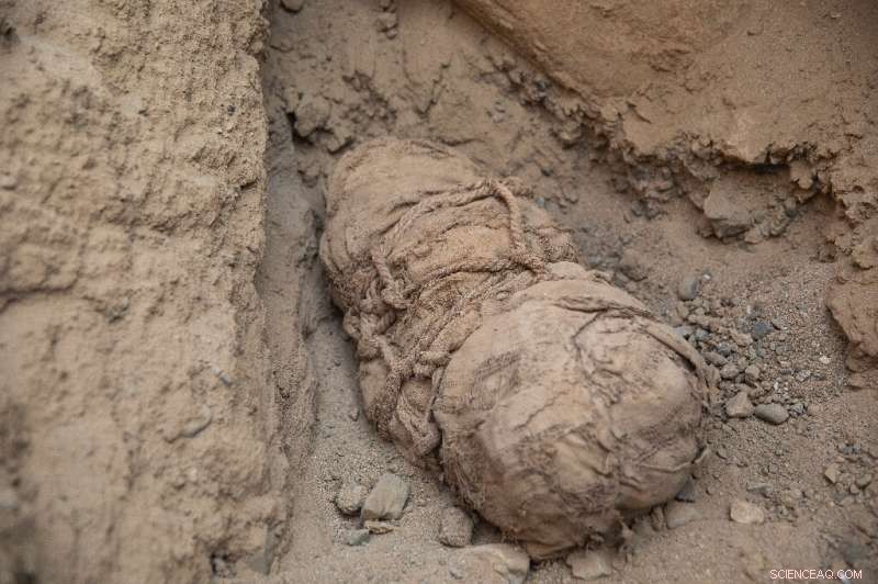 Peru: Ancient Child Mummies Unearthed - Evidence of Ritual Sacrifice?