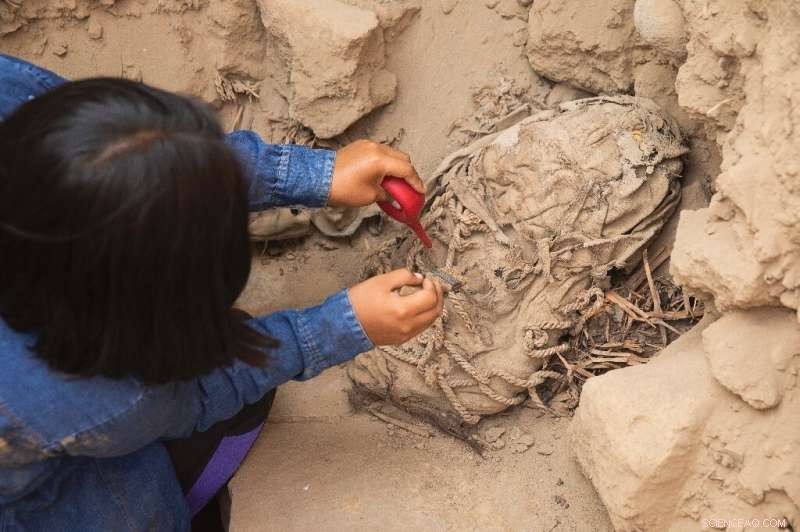 Peru: Ancient Child Mummies Unearthed - Evidence of Ritual Sacrifice?