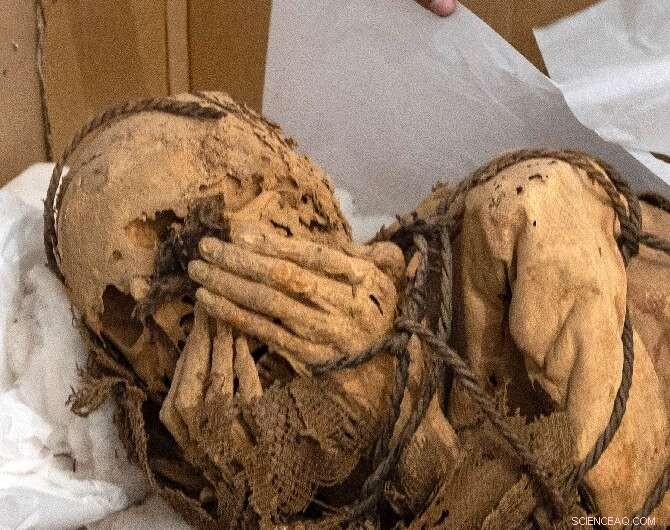 Peru: Ancient Child Mummies Unearthed - Evidence of Ritual Sacrifice?