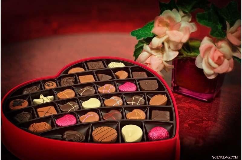 Understanding the Popularity of American Holidays in the Netherlands