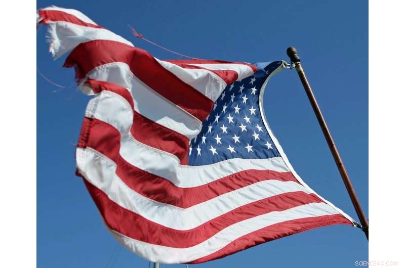 Immigration Scam Reporting: How Local Context Impacts Outcomes