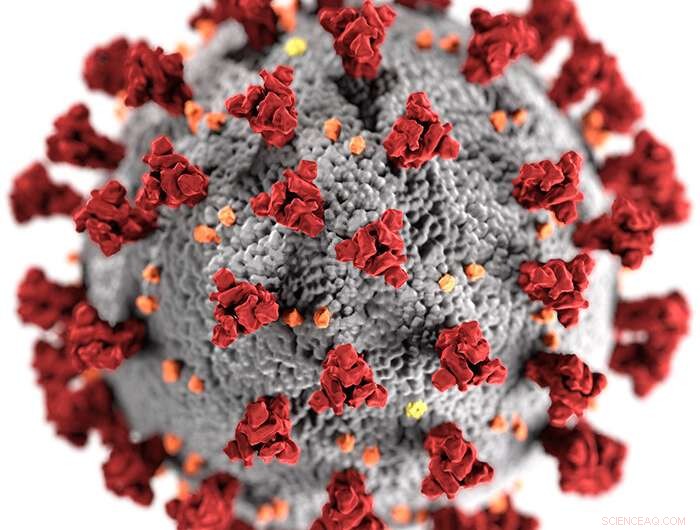 COVID-19 Pandemic: Media Coverage of Xenophobia and Global Response